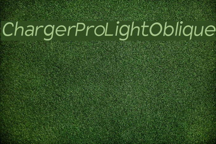 Charger Pro Light Oblique Font examples