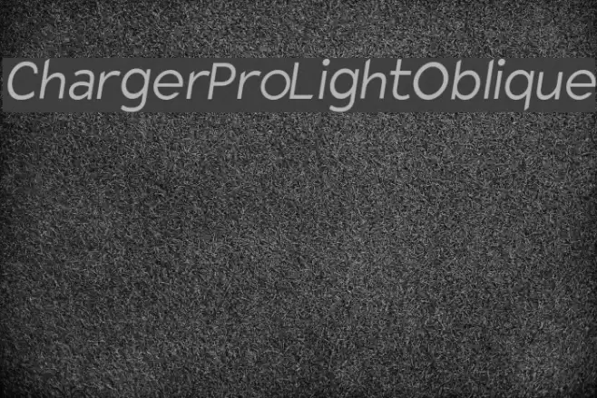 Charger Pro Light Oblique examples