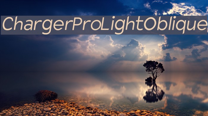 Charger Pro Light Oblique Font examples