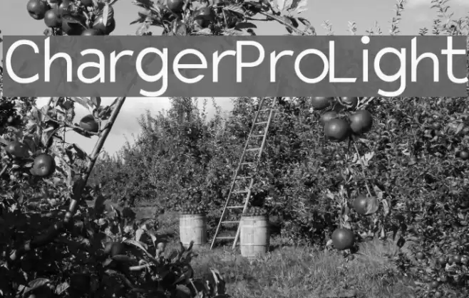 Charger Pro Light Font examples