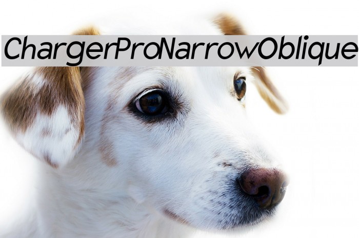 Charger Pro Narrow Oblique Font examples