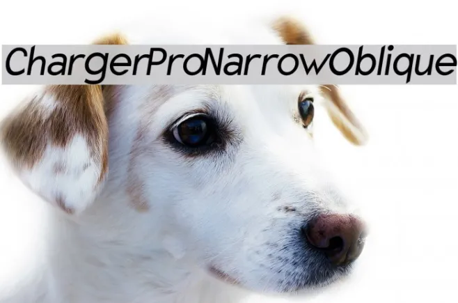 Charger Pro Narrow Oblique Example 1