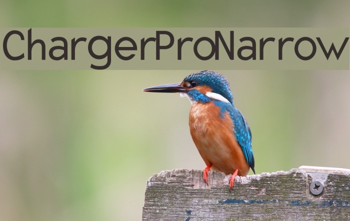 Charger Pro Narrow Font examples