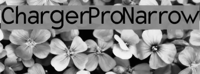Charger Pro Narrow Font examples