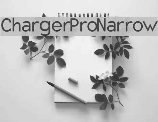 Charger Pro Narrow Font examples