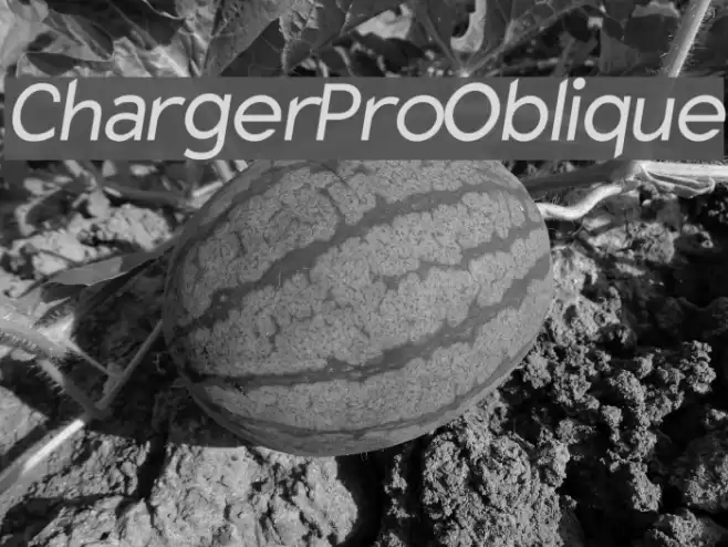 Charger Pro Oblique Font examples