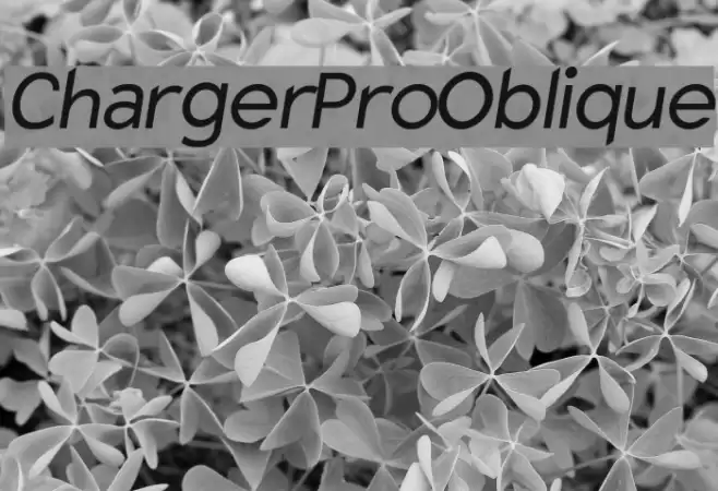 Charger Pro Oblique Font examples