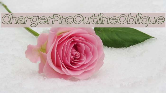 Charger Pro Outline Oblique Example 1