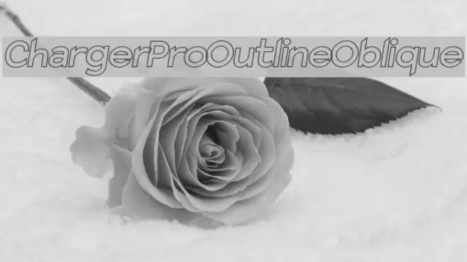 Charger Pro Outline Oblique Font examples