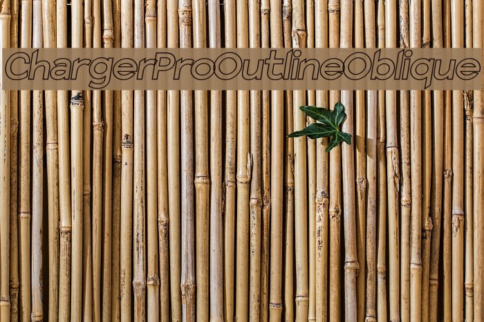 Charger Pro Outline Oblique Example 2