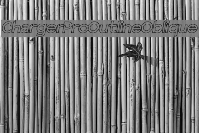 Charger Pro Outline Oblique Font examples