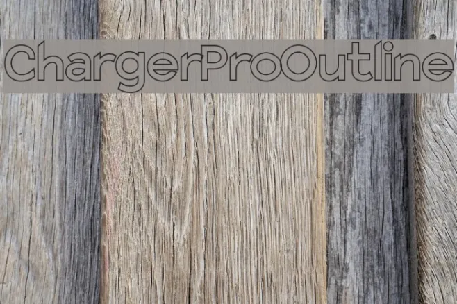 Charger Pro Outline Example 2