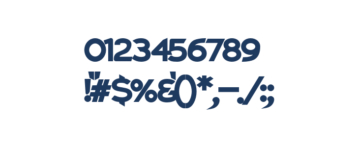 Charger Pro Ultrablack Extended Other Characters