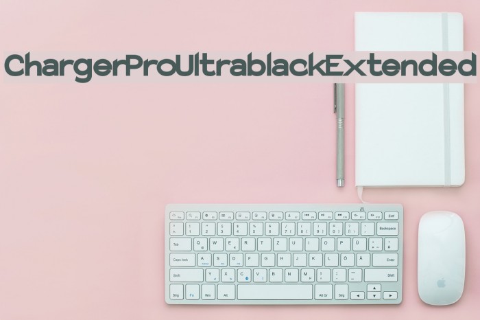 Charger Pro Ultrablack Extended Example 1