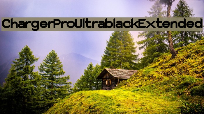 Charger Pro Ultrablack Extended Example 2