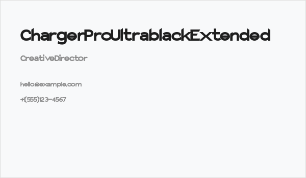 Charger Pro Ultrablack Extended Business Card
