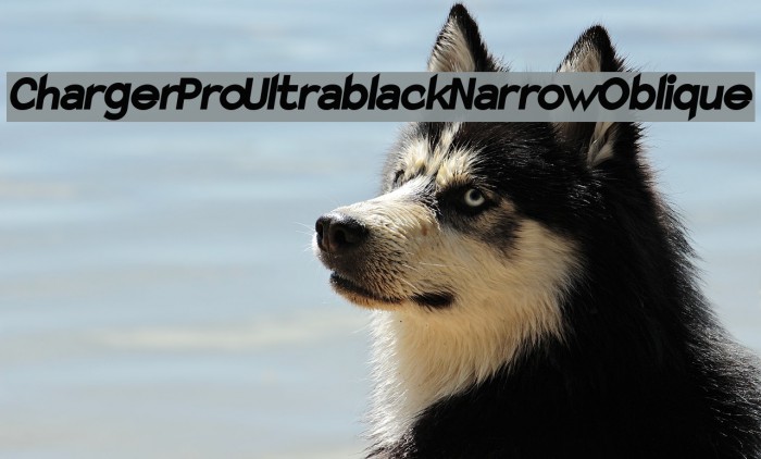 Charger Pro Ultrablack Narrow Oblique Font examples