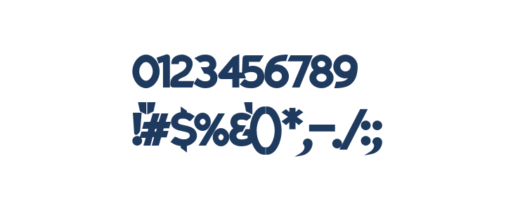 Charger Pro Ultrablack Narrow Other Characters