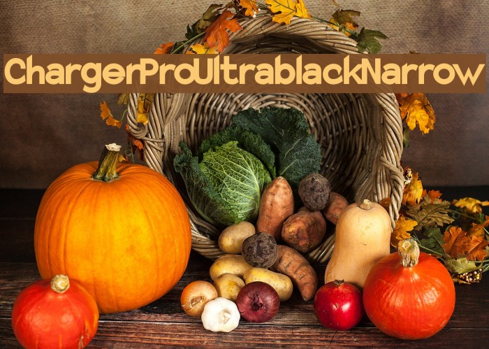 Charger Pro Ultrablack Narrow Example 2