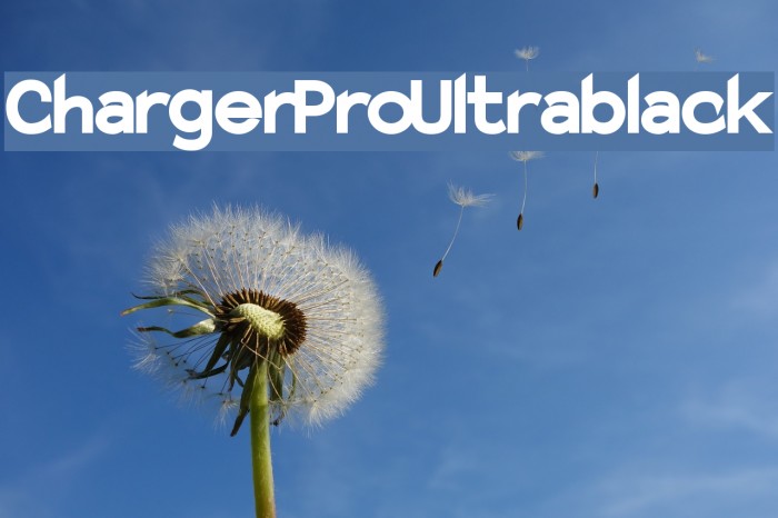 Charger Pro Ultrablack Example 1