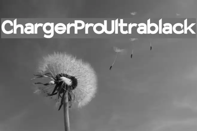 Charger Pro Ultrablack Font examples
