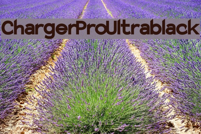 Charger Pro Ultrablack Example 2