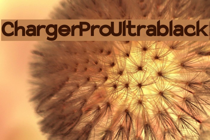 Charger Pro Ultrablack Example 3