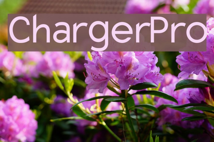 Charger Pro Font examples