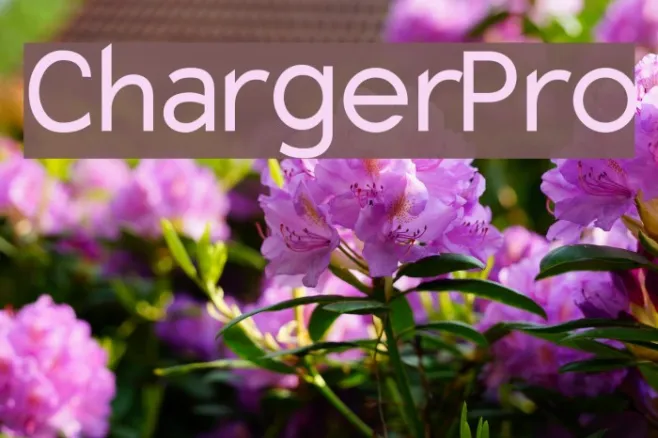 Charger Pro Example 1