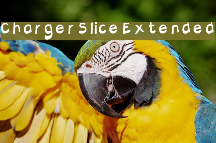 Charger Slice Extended Font examples