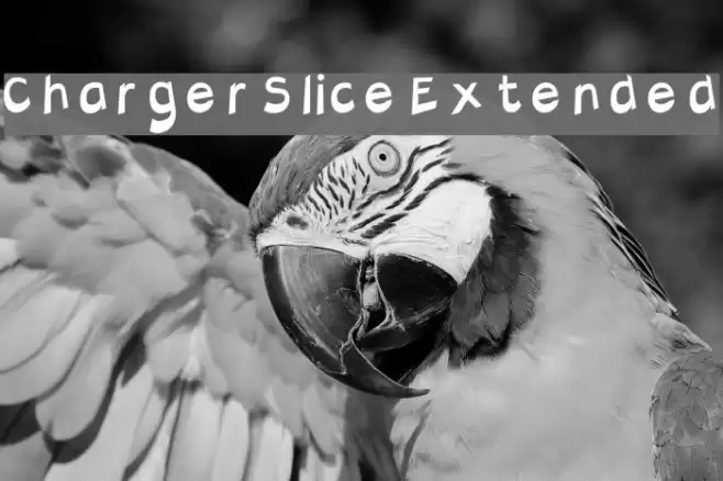 Charger Slice Extended Polices examples