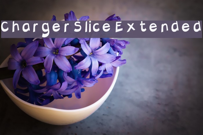 Charger Slice Extended Font examples