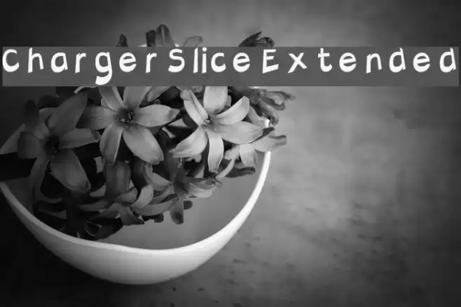 Charger Slice Extended Polices examples