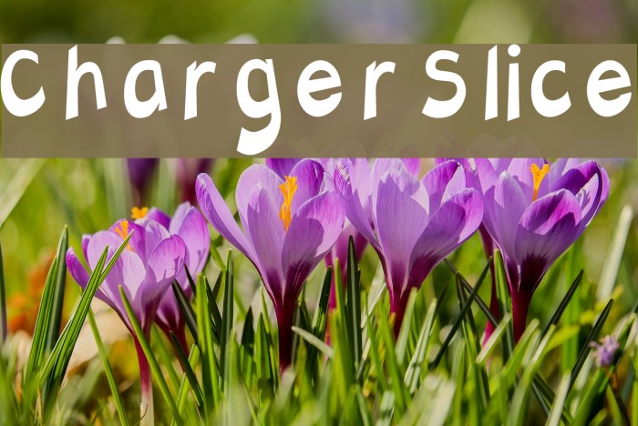 Charger Slice Font examples
