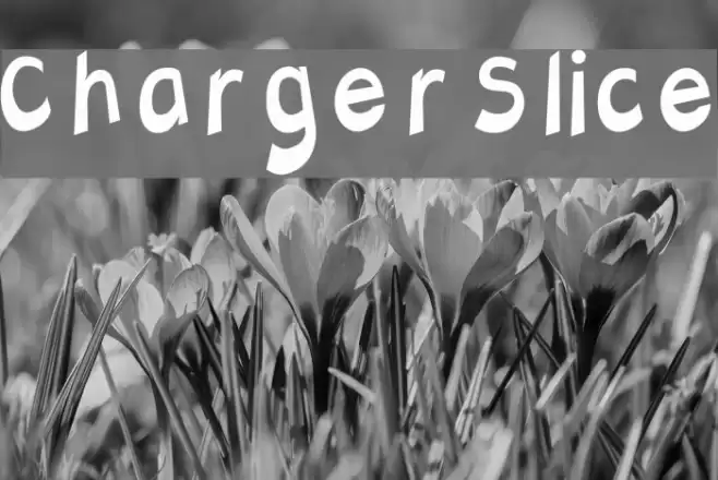 Charger Slice Font examples