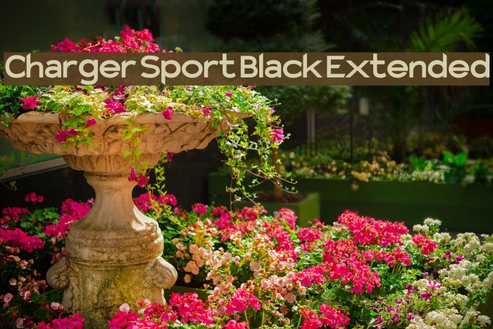 Charger Sport Black Extended Font examples