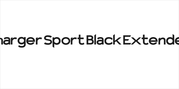Charger Sport Black Extended Logo
