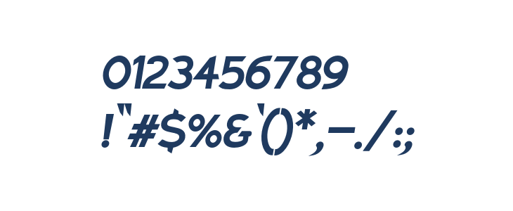 Charger Sport Black Oblique Other Characters