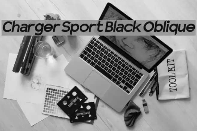 Charger Sport Black Oblique examples