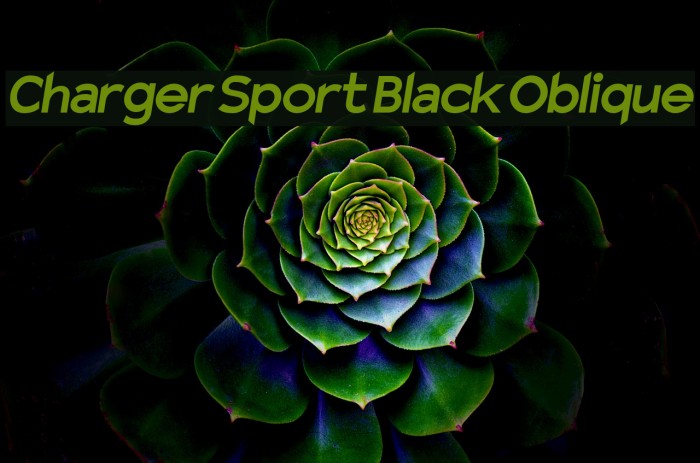 Charger Sport Black Oblique Example 2