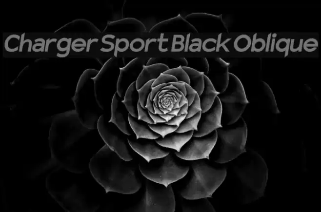Charger Sport Black Oblique examples