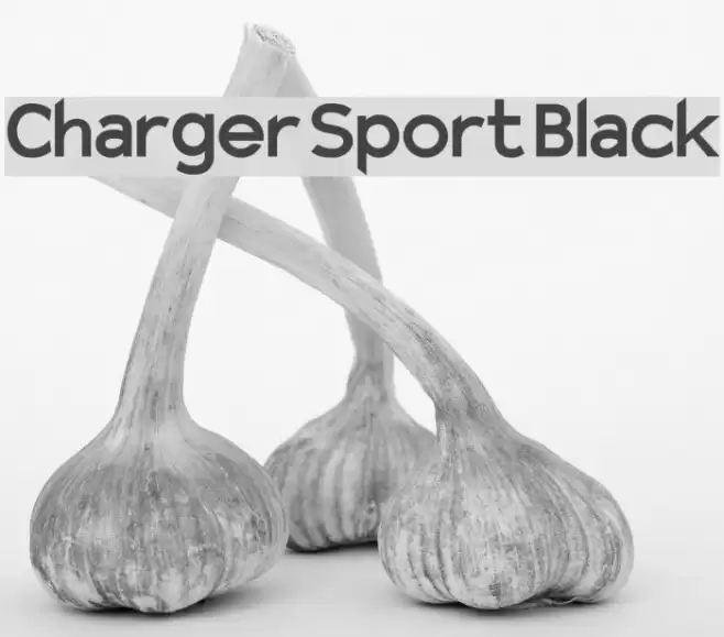 Charger Sport Black Font examples