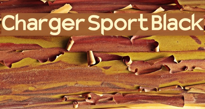 Charger Sport Black Font examples