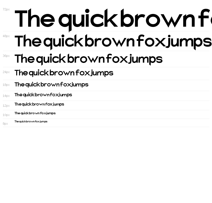 Charger Sport Black Waterfall