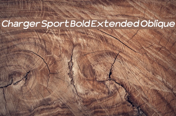 Charger Sport Bold Extended Oblique Font examples