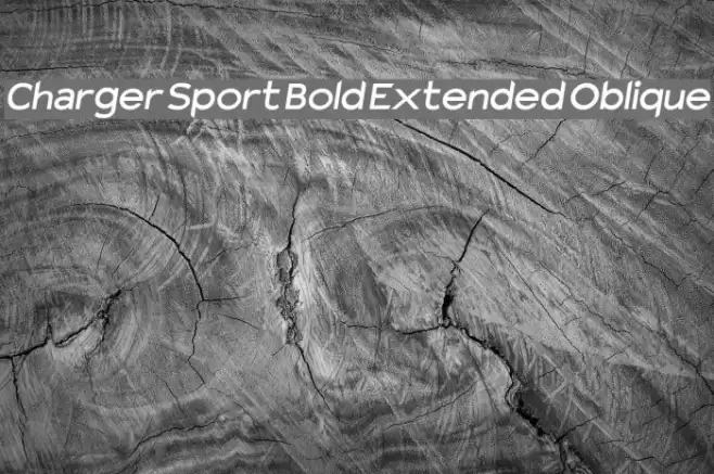 Charger Sport Bold Extended Oblique Font examples