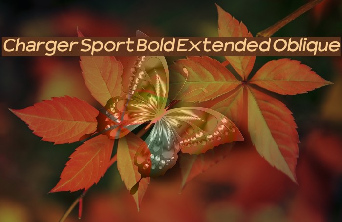 Charger Sport Bold Extended Oblique Font examples