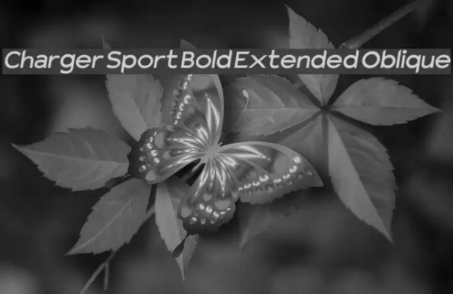 Charger Sport Bold Extended Oblique Font examples