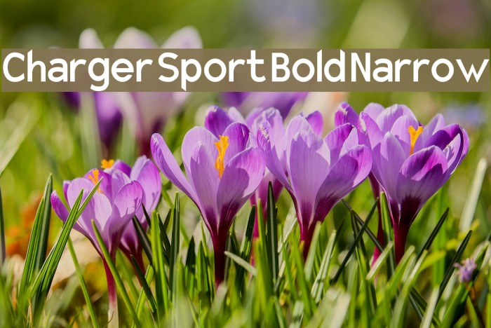 Charger Sport Bold Narrow Font examples