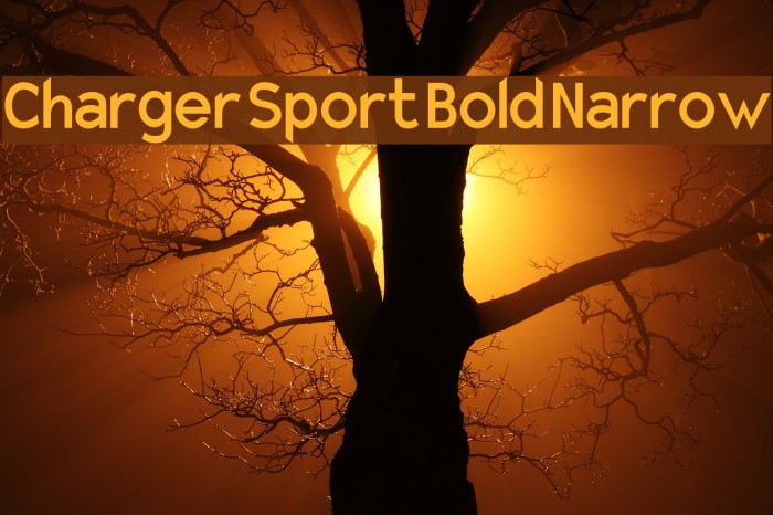 Charger Sport Bold Narrow Font examples